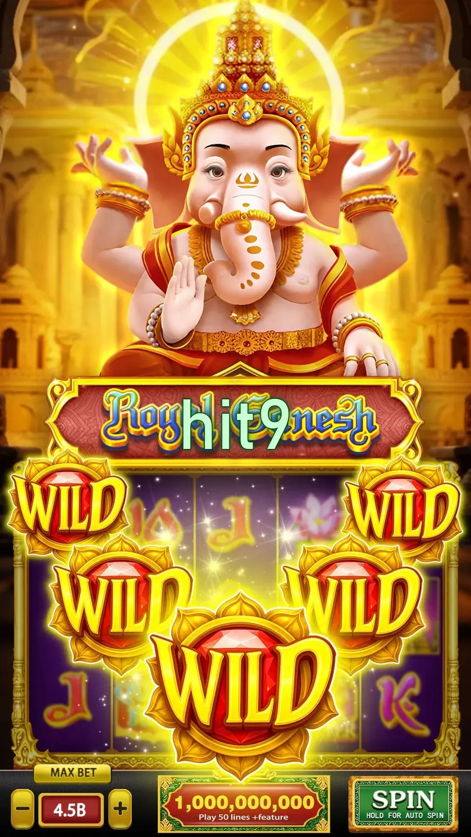 hit9 Masuk